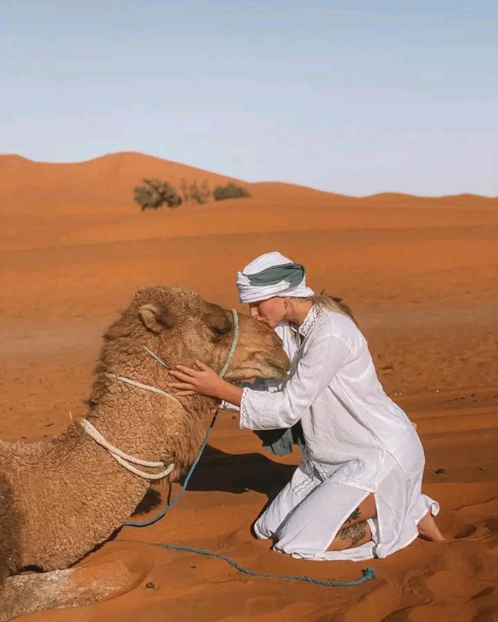 Glamping Sultan's Sinbad Luxury Camp Merzouga